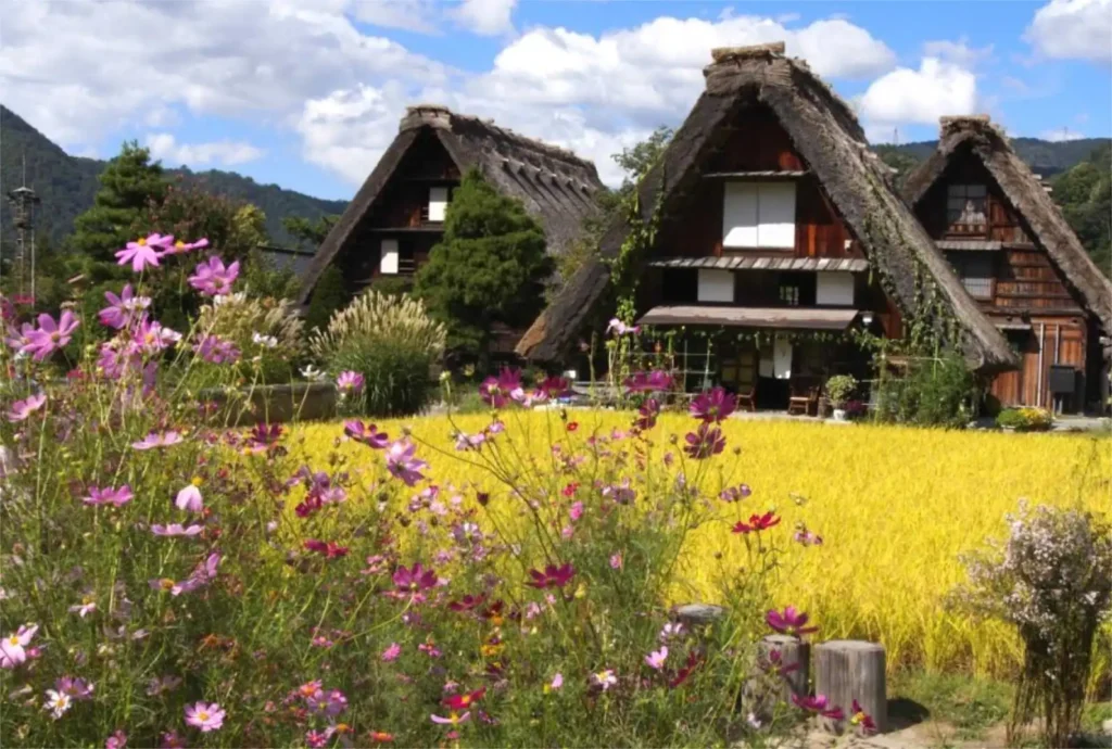 Uma jornada pelo Japão que combina modernidade de Tóquio e Osaka á tradição de Quioto, Nara e Takayama, passando por Hiroshima e Shirakawago.